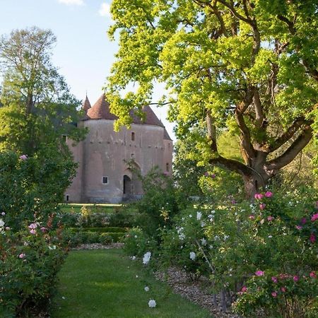 Chateau D'Ainay-Le-Vieil Esterno foto